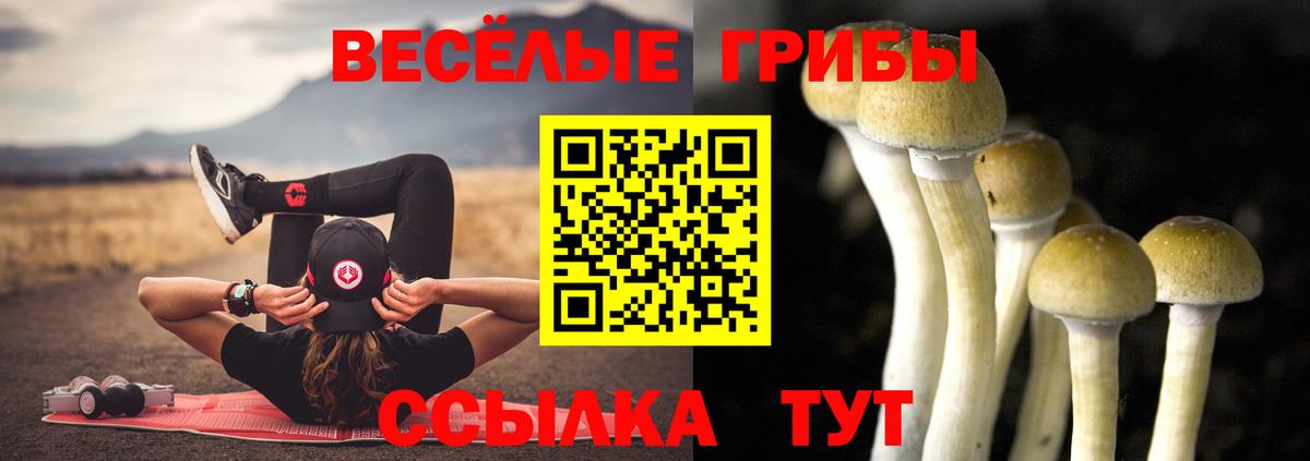 как найти закладки  Вход с VPN  Новороссийск  Псилоцибиновые грибы Cubensis 